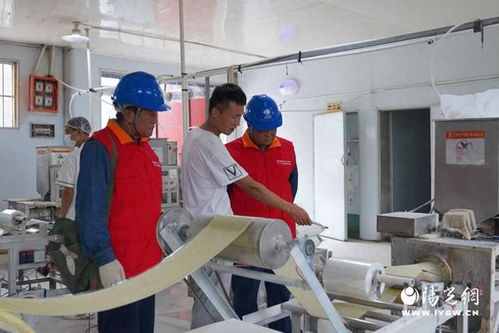 國網西安長安區供電公司 優質電力服務賦能食品加工，網絡技術助力區域經濟發展